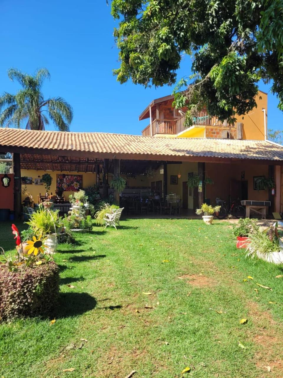 Vovo Bela *